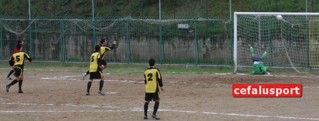 101031_Tiger 259x_tn.jpg